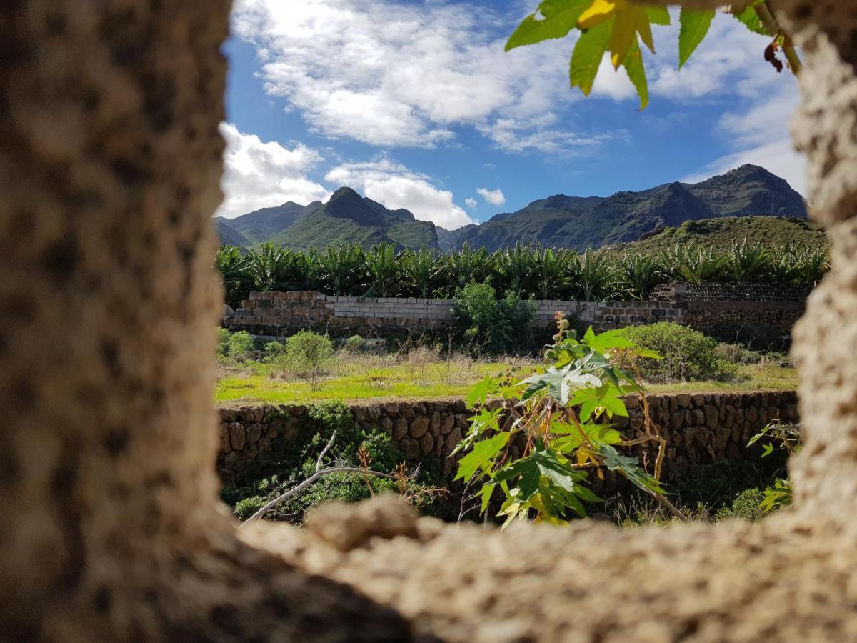 شقة Teno Mountains&Bananas Garden House لوس سيلوس المظهر الخارجي الصورة